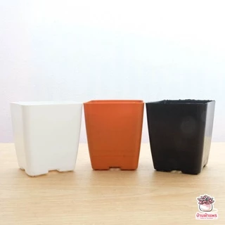 กระถางสี่เหลี่ยม 4 นิ้ว SP040 กระถางพลาสติก แคคตัส กระบองเพชร ไม้อวบน้ำ Cactus&Succulent