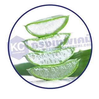 T018AV-25G Aloe Vera Extract : สารสกัดว่านหางจระเข้ (น้ำ) 25 กรัม