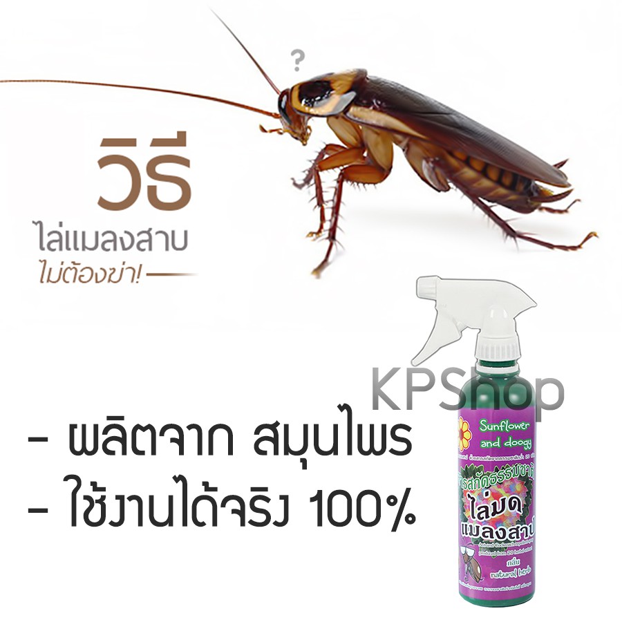 สเปรย์สมุนไพร ไล่มด ไล่แมลงสาบ เซต 2ขวด กำจัดมด กำจัดแมลงสาบ แถมผ้าไมโครไฟเบอร์ - รูปที่ 7