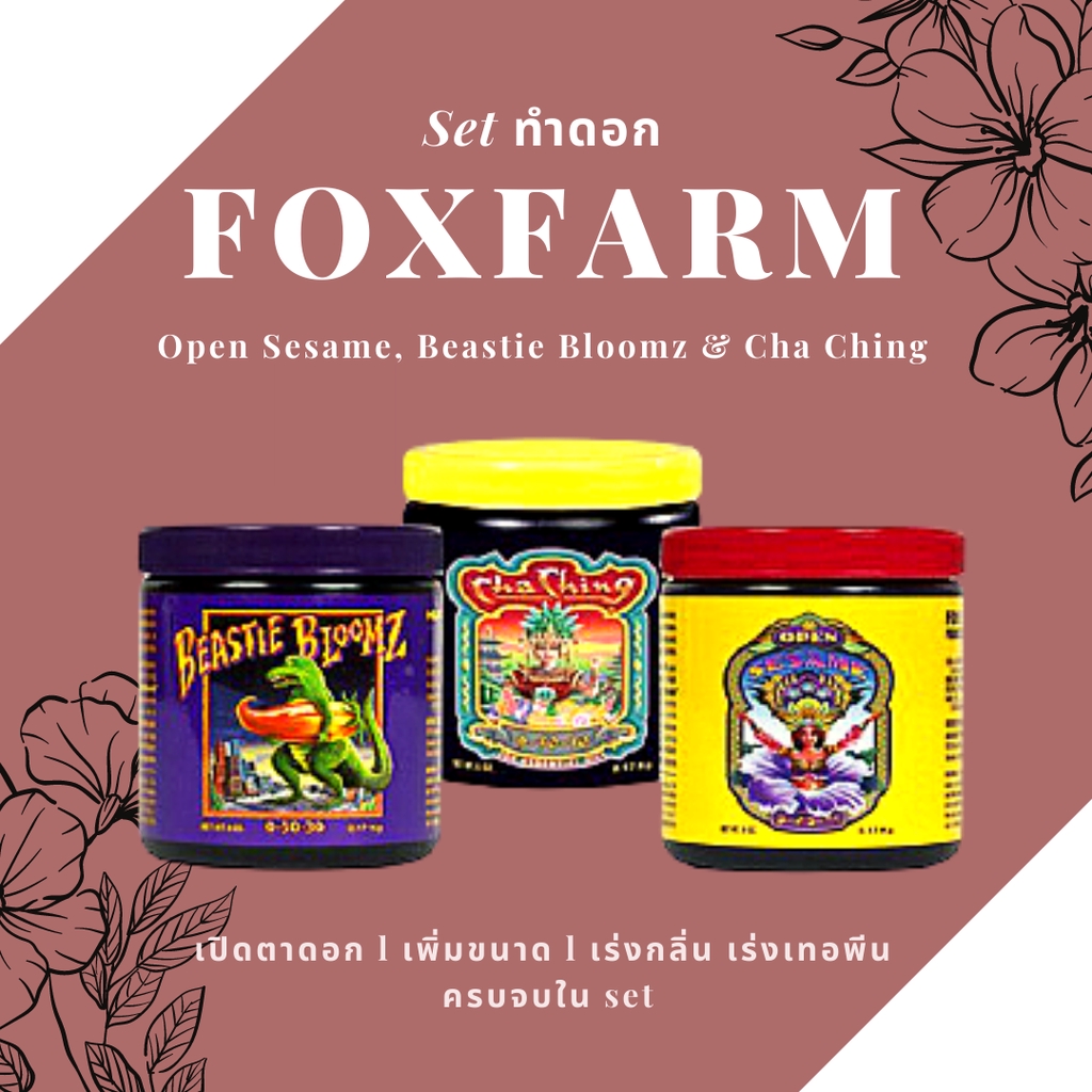 (Set ทำดอก) Foxfarm fox farm Open Sesame, Beastie Bloomz & Cha Ching