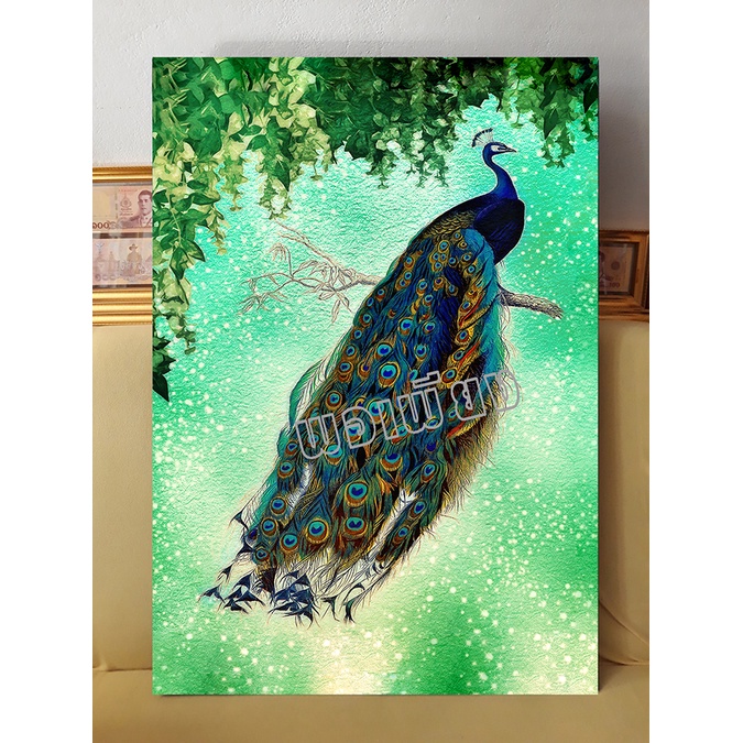 กรอบรูปกรอบลอย นกยูงผ้าใบแคนวาส 20x30 นิ้ว เช็ดทำความสะอาดได้