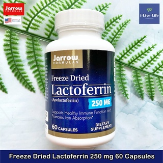 Jarrow Formulas - Freeze Dried Lactoferrin 250 mg 60 Capsules แลคโต เฟอริน แลคโต เฟอร์ริน