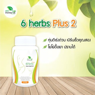 6herbs สูตร2 สมุนไพรเร่งเผาพลาญ ลดน้ำหนัก ลดไขมัน กระชับสัดส่วน ถูกที่สุด ศูนย์กระจายสินค้าคลินิกบ้านยาสมุนไพร