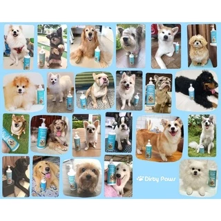 Dirty Paws แชมพูสุนัข ออร์แกนิค ผสมครีมนวด กลิ่น Cotton Candy หอมนาน​ ขนนุ่ม​ อ่อนโยน​ กว่าที่เคย