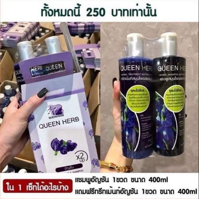 แชมพูควีนเฮิร์บ queen herb