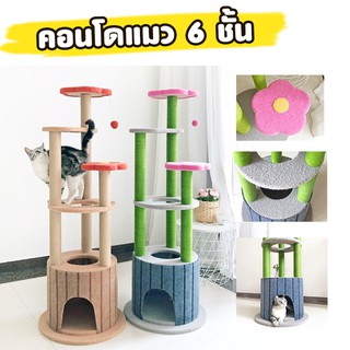 🌺🐱 คอนโดแมว 6ชั้น  XZDM11