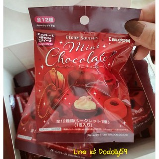 สกุชชี่ Ibloom Mini Chocolate