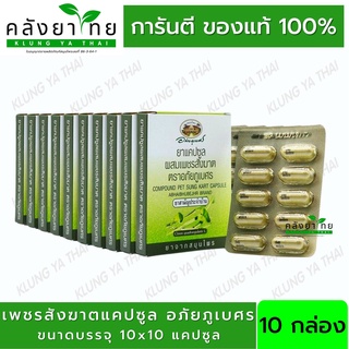 ยาแคปซูลผสมเพชรสังฆาต ตราอภัยภูเบศร ขนาดบรรจุ 10 แคปซูล (แผง) 10 แผง (ผลิตภัณฑ์สมุนไพรขายทั่วไป)