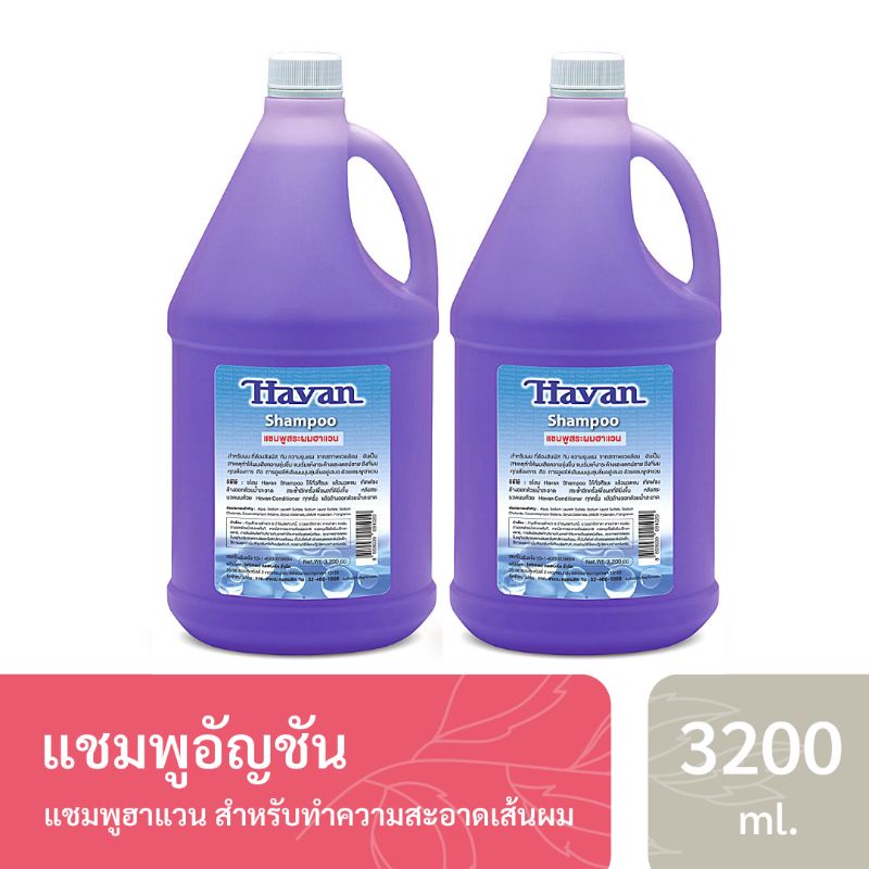 แชมพูแกลลอน แชมพูฮาแวนแกลอน แชมพูร้านเสริมสวย