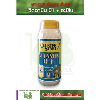 VITAMIN B-1+อะมิโน ขนาด1ลิตร เรียกรากพืช ย้ายปลูกใหม่ฟื้นตัวเร็ว