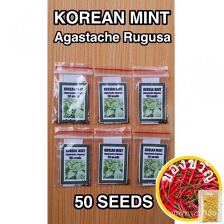 Korean Mint Herb Seeds帽子/通心菜/seeds/玫瑰/裙子/文胸/花园/内裤/苹果/芹菜/ JBUJ