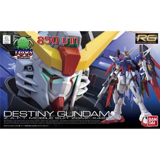 RG 1/144 Destiny Gundam