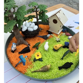 Bird Sensory Play โมเดลนก นกยูง นกฟลามิงโก (พร้อมส่ง)