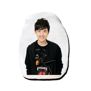 หมอนไดคัท สั่งทำ ตุ๊กตา ตุ๊กตาหน้าเหมือน หมอนตุ๊กตา เอ็กโซ EXO DO ดีโอ kyungsoo โดคยองซู