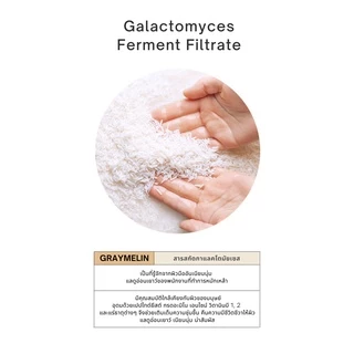 Graymelin Galactomyces Ferment Filtrate 50ml.