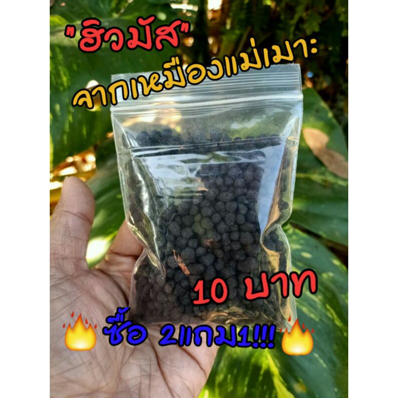 ฮิวมัสแท้ จากเหมืองแม่เมาะ ใส่แล้วพืชงาม ใช้กับพืชได้ทุกชนิด