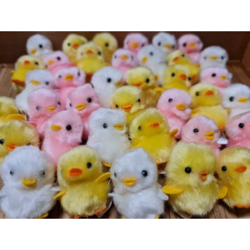 ลูกเจี๊ยบ pom pom ตัวจิ๋ว