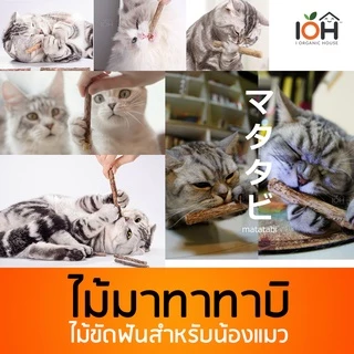 IOH Matatabi Sticks ไม้มาทาทาบิ แคทนิปญี่ปุ่น ช่วยขัดฟันและลดความเคลียดสำหรับแมว Size S