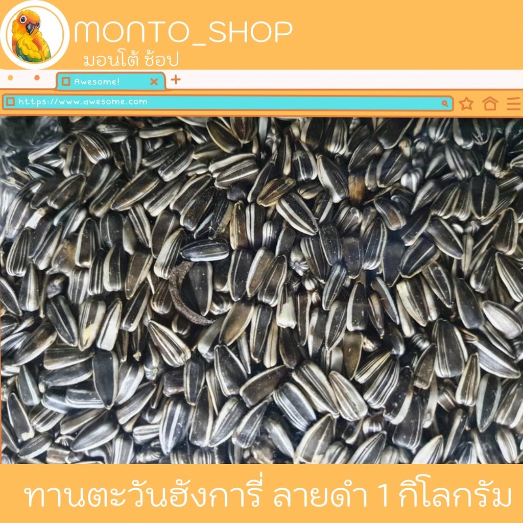 อาหารนก ทานตะวันฮังการี่ (ลายนอก) แบ่งแพ็ค