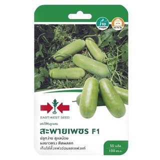 แฟงไส้ตัน F1 สะพายเพชร ศรแดง WAX GOURD SEED F1 SORNDAENG SAPAIPHET