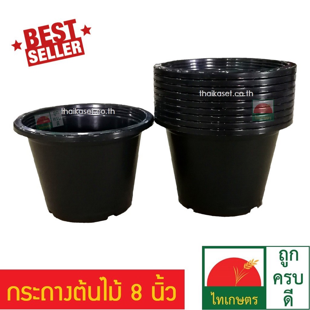 (แพค3ใบ) กระถางต้นไม้ กระถางดอกไม้พลาสติก​ สีดำ กระถางดำ ขนาด 8 นิ้ว Flowerpot