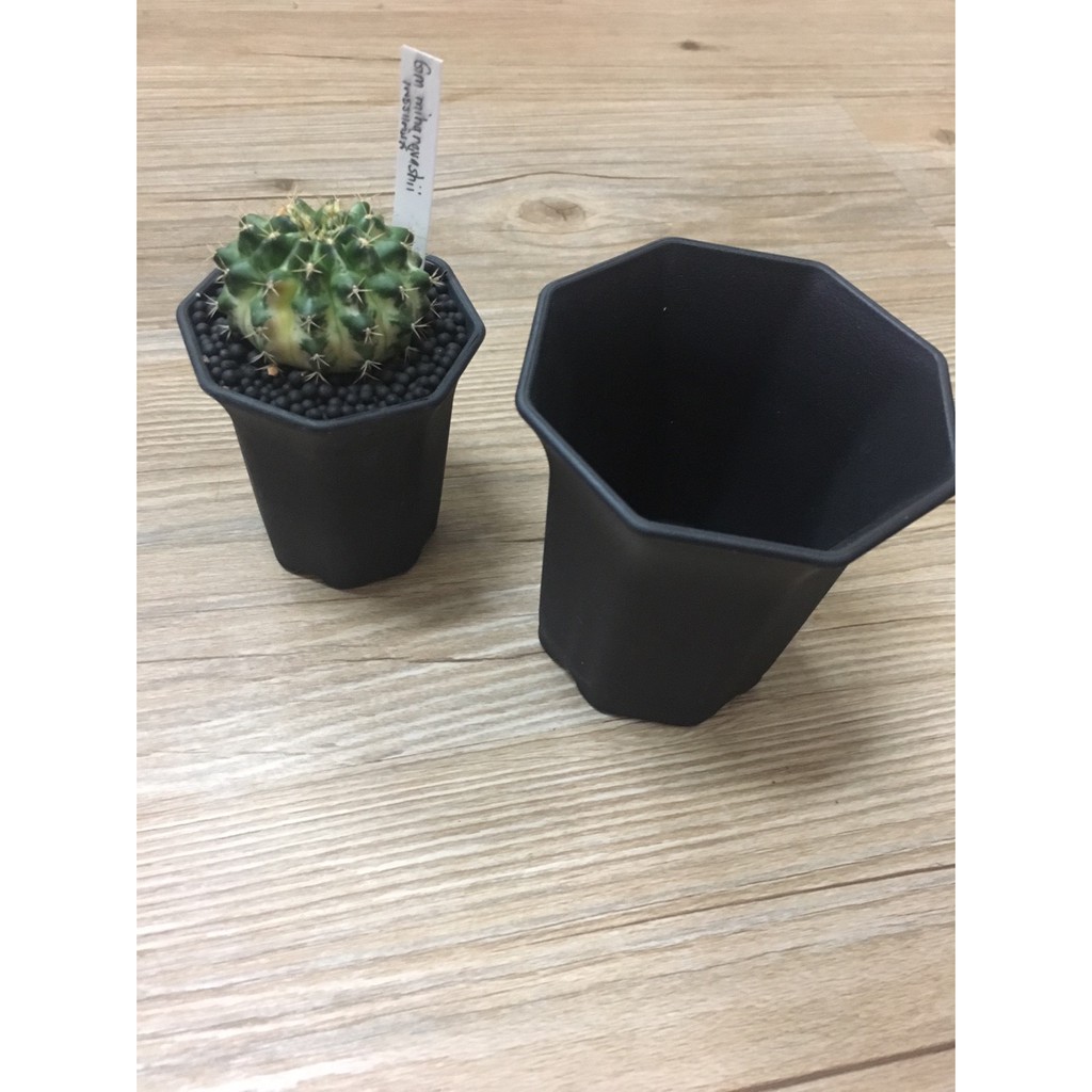 กระถางพลาสติกปากแตร 8 เหลี่ยม 2/2.5/3.5/4.5 นิ้ว - รูปที่ 3