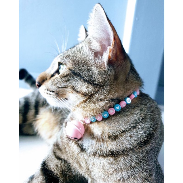 สร้อยคอน้องหมา น้องแมวและกระต่าย รุ่น Lovely