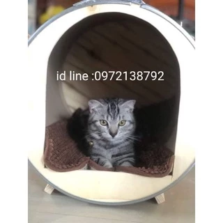 ถังนอนน้องแมวแบบนอนราคาถูก