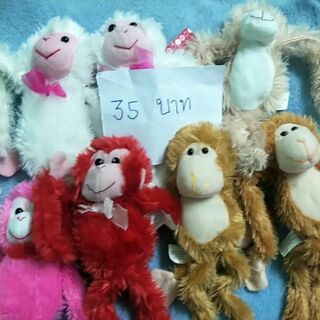 ตุ๊กตาชะนี มือสอง ตัวละ 15-20 บาท