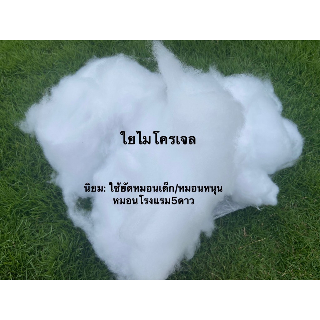 รูปภาพ 4