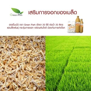 ฮอร์โมนไข่ ขนาด 1 ลิตร ตรา green park สูตรเข้มข้น แช่เมล็ด เร่งราก แตกตา ดอก ผล ดก ต้านทานโรค เพิ่มผลผลิต เพิ่มความหวาน