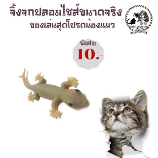 😻จิ้งจกปลอมของเล่นแมวขนาดจริงแบบนิ่ม ราคา 10 บาท 😻มีชำระปลายทางค่าส่ง22 บาท