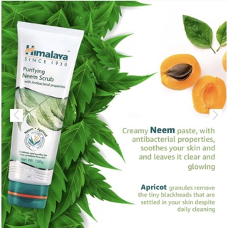 Himalaya Purifying Neem Scrub 100 ml หิมาลายาสครับสิวเสี้ยน