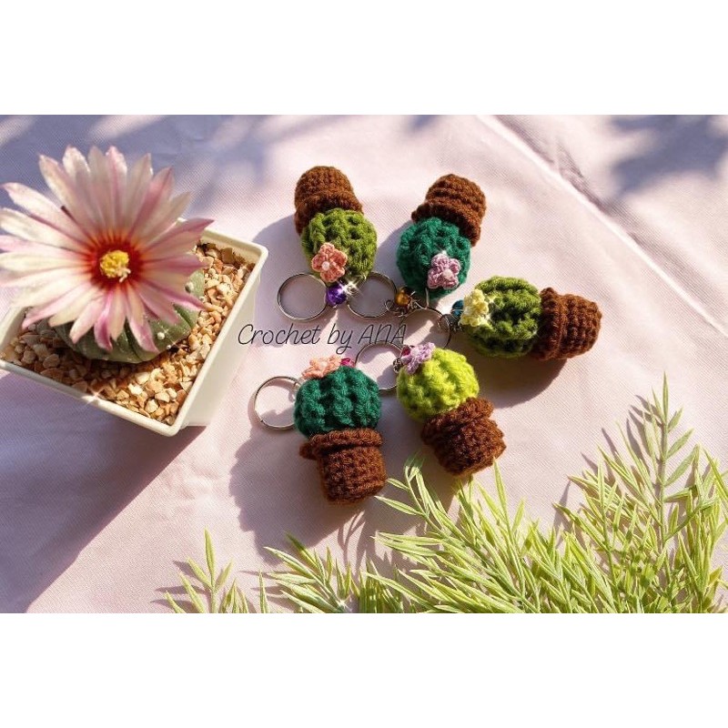 พวงกุญแจแคคตัส ,กระบองเพชร ของชำร่วย ของที่ระลึก ราคาถูก