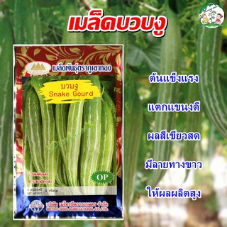 เมล็ดบวบงู Snake Gourd เมล็ดพันธุ์บวบงู บวบงู เมล็ดพันธุ์พืช ผักสวนครัว ตราภูเขาทอง