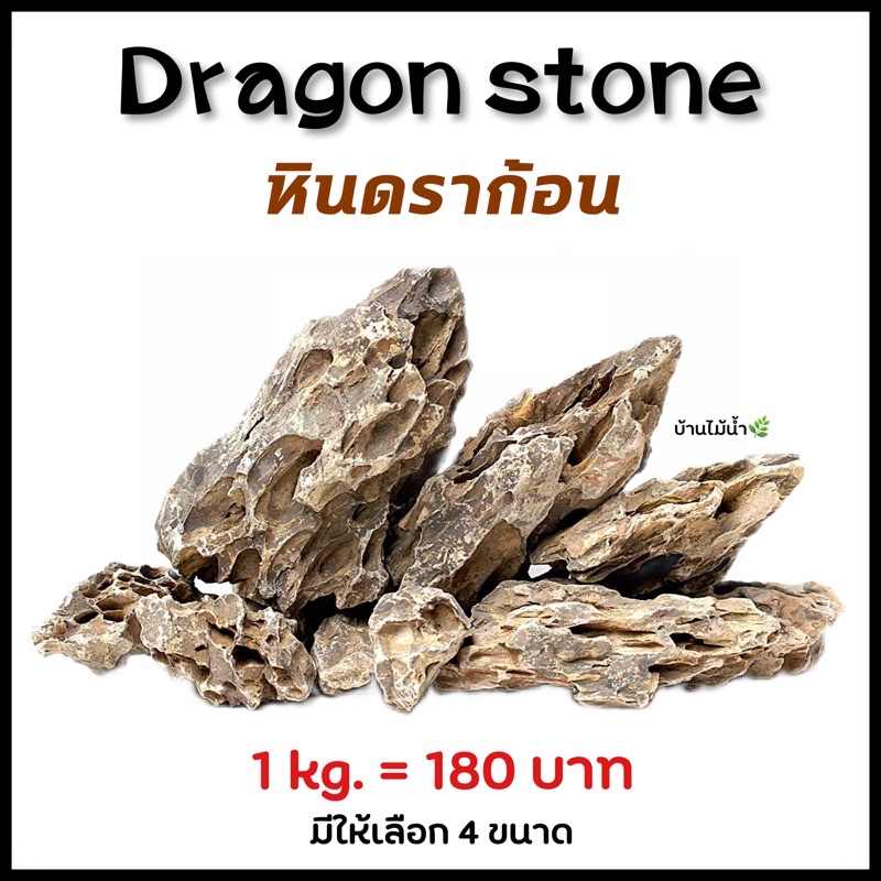 หินดราก้อน Dragon Stones ดรากอน หินตกแต่งตู้ไม้น้ำ หินตกแต่งตู้ปลา หินจัดสวน ตู้ปลา ตู้ไม้น้ำ เทอร์ราเรียม | บ้านไม้น้ำ🌿