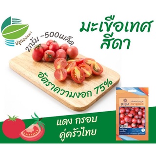 （อัตราการงอก 90%）มะเขือเทศ สีดา (Sida Tomato)/เมล็ด ผัก ปลูก สวนครัว คละ