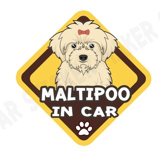 สติกเกอร์ติดรถ สติ๊กเกอร์ติดรถยนต์ สติกเกอร์หมา DGA138  Maltipoo dog