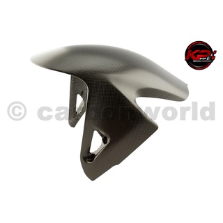 บังโคลนหน้า CARBONWORLD FOR PANIGALE V4/V4S/V4R