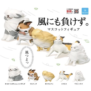 (ครบเซ็ต) กาชาปองสัตว์ แมว หมา • Undefeated by the wind Part1 Animal Dog Cat ver. I wont lose to the wind Gashapon