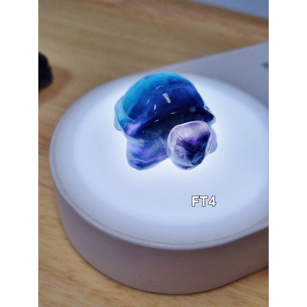 [Kyzen Living] ตอร์ติซฟลูออไรต์