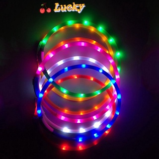 Lucky ปลอกคอสัตว์เลี้ยง มีไฟ LED เรืองแสง ชาร์จ USB หลากสี อุปกรณ์เสริม สําหรับสุนัข