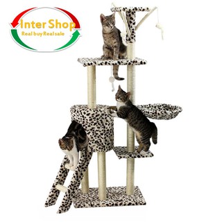 nter Shop Lovecats Model CA033-A-TIGER คอนโดแมว/บ้านแมว/Cat Tree/Cat condo/Cat climbing