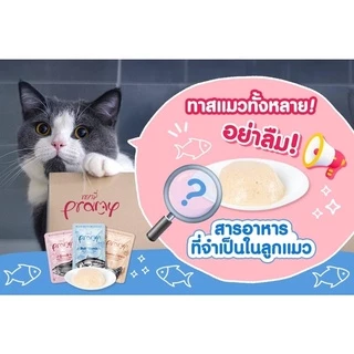 (แบบโหล)Pramy Premium Cat Pouch ❤️😸 พรามี่ อาหารเปียกเกรดพรีเมี่ยม สำหรับแมว 70g x 12 ซอง