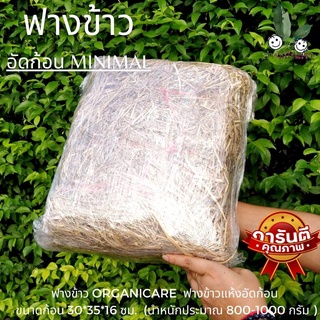 ฟางข้าว อัดก้อน minimal ฟางข้าวเพาะเห็ด  ORGANICARE  ฟางข้าวแห้งอัดก้อน ฟางข้าวสี่เหลี่ยม  ขนาดก้อนสี่เหลี่ยม 30*35*16ซม