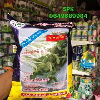 ขายส่ง109฿ เมล็ดทานตะวัน เมล็ดดำต้นอวบ ทานตะวันงอก เมล็ดทานตะวันอ่อน 1kg.AAA เปอร์เซ็นต์การงอกสูง ตรา3เอ