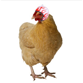 หมวกกันน็อค หมวกน้องไก่