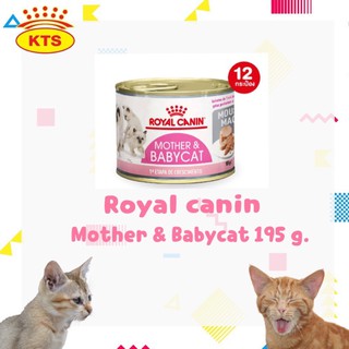 Royal Canin Mother &amp; Babycat 195 g. (12 กระป๋อง) อาหารเปียกเนื้อมูนสำหรับแม่แมวและลูกแมว กระป๋องละ 195 กรัม