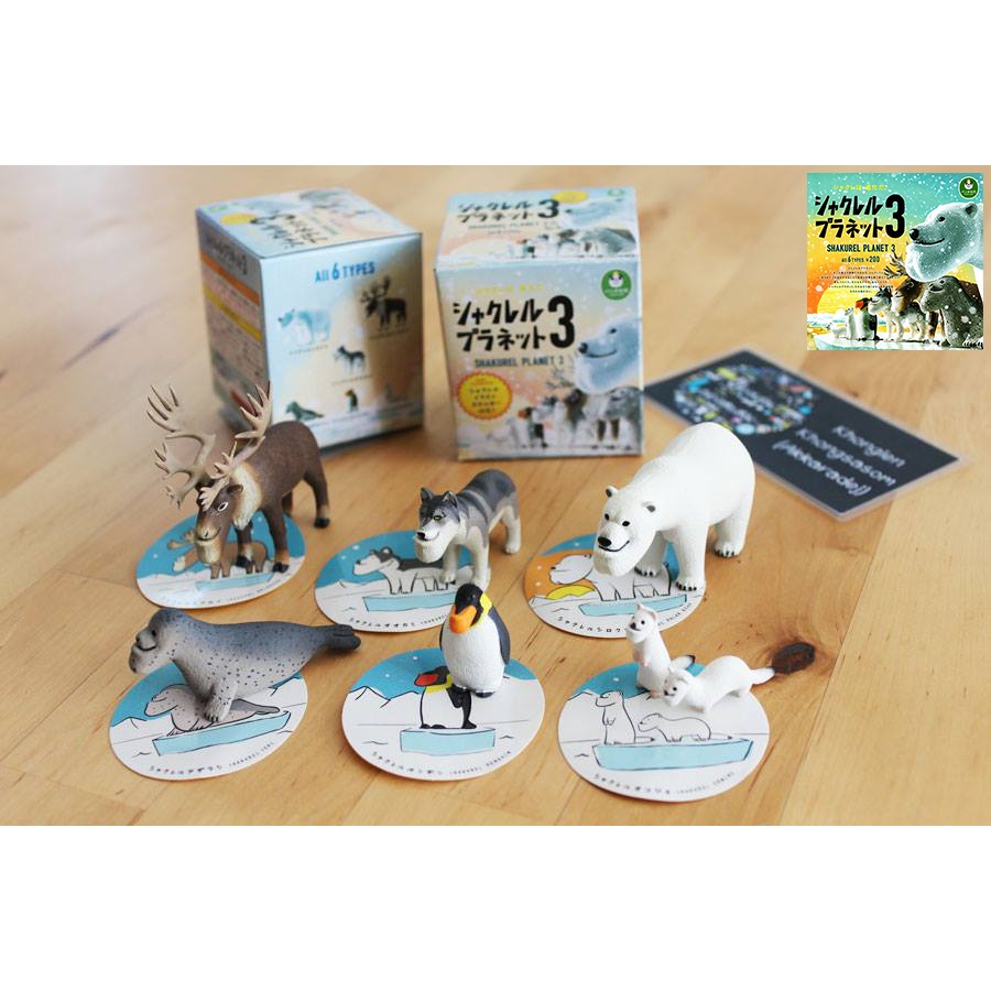 Gashapon Shakurel Planet 3 Box Set - กาชาปอง สัตว์คางยื่น ชากรูเรียว แพลนเน็ท 3 แบบกล่อง สติ๊กเกอร์