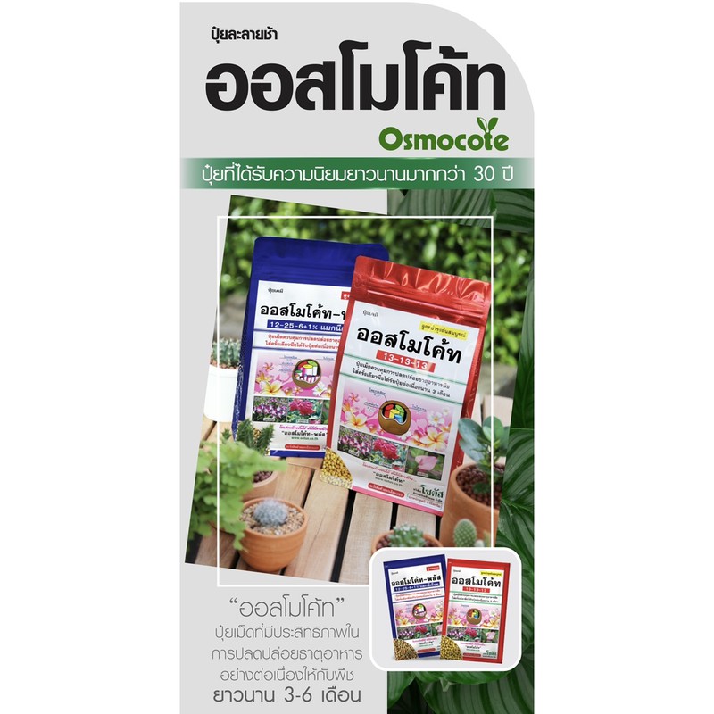 ปุ๋ยออสโมโค้ท Osmocote สูตรเสมอ บำรุงใบ และสูตรเร่งดอก ปุ๋ยเร่งดอก ปุ๋ยละลายช้า ปุ๋ยแคสตัส ขนาด100กรัม